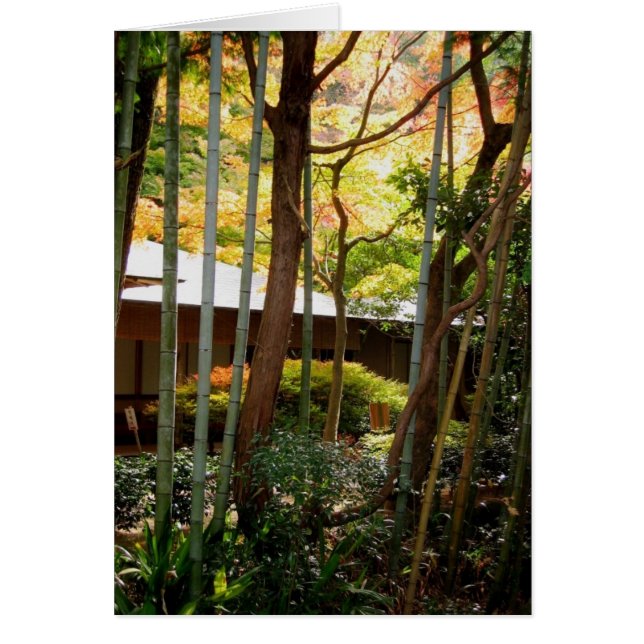 Along filosof väg OBS kort (Framsidan)