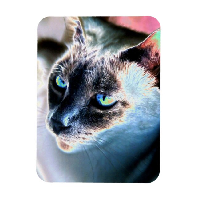 Aloof Siamese Cat Altered Flexible Magnet (Vertikal)