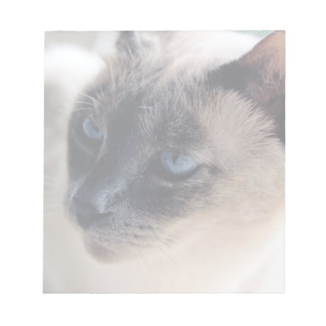 Aloof Siamese Cat Anteckningsblock (Framsida)