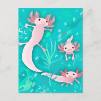 Alotta Axolotls vykort