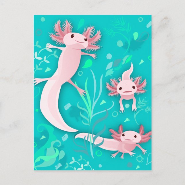 Alotta Axolotls vykort (Framsida)