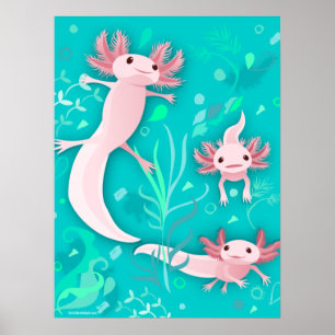 Alotta Rosa Axolotls på Teal Poster