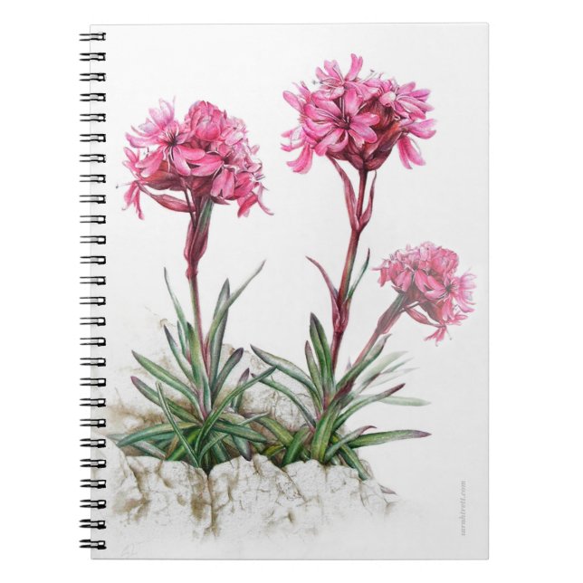 Alp Catchfly vattencolor bra art notebook Anteckningsbok (Framsidan)
