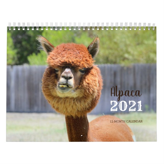 Alpaca 2021-kalender kalender (Omslag)