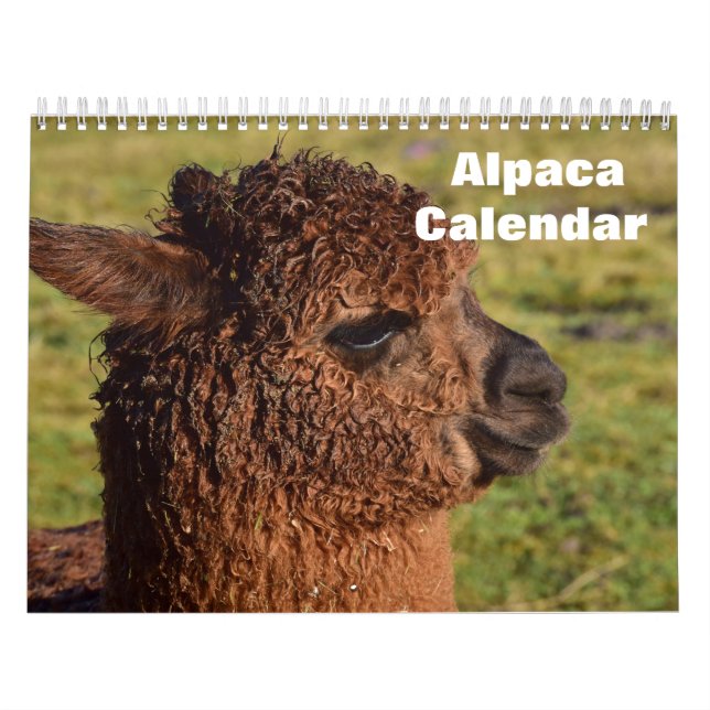 Alpaca 2025 kalender (Omslag)