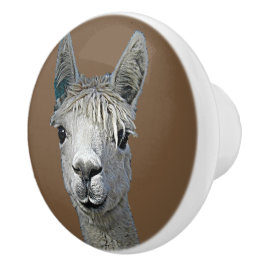 Alpaca Alpakka Alpaka Alpaga Knopp