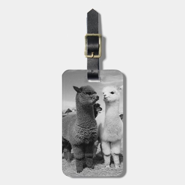 ALPACA ÄLSKARNA DREAM LUGGAGE/GOLF I.D.LAPP BAGAGEBRICKA (Vertikal Framsida)