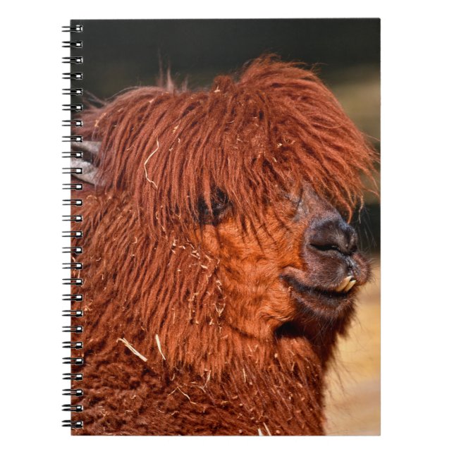 Alpaca Anteckningsbok (Framsidan)