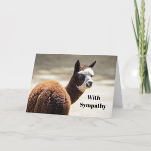 Alpaca Brown och White Animal Photo Sympathy Kort