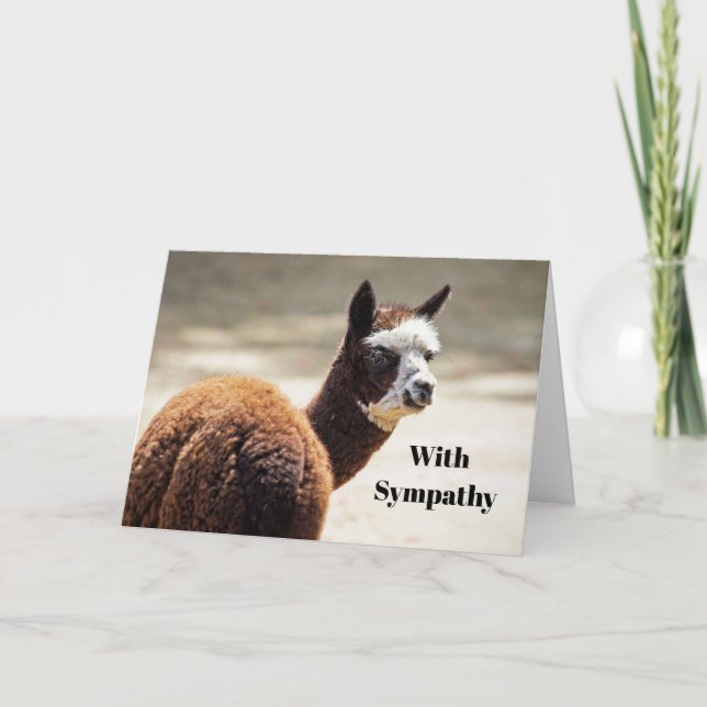 Alpaca Brown och White Animal Photo Sympathy Kort (Framsida)