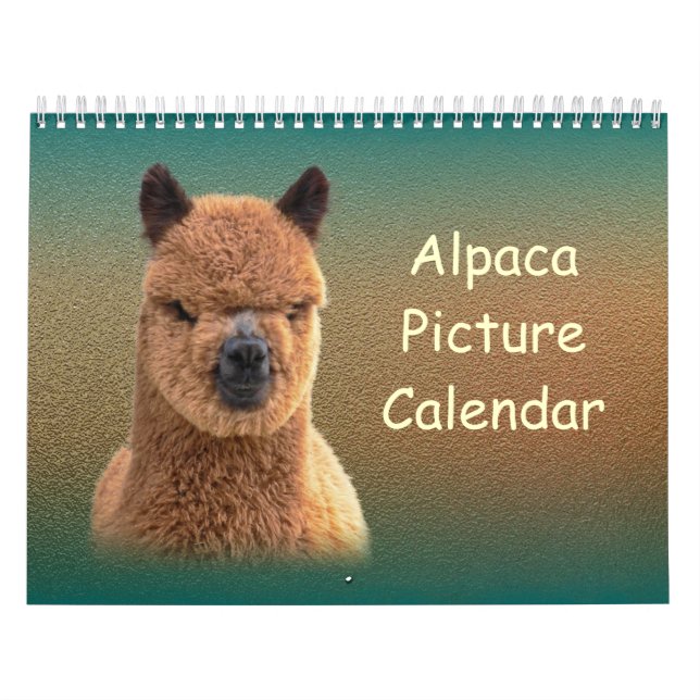 Alpaca Calendar 2023 Kalender (Omslag)