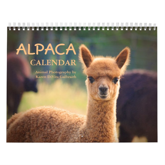 Alpaca Calendar 2023 Kalender (Omslag)