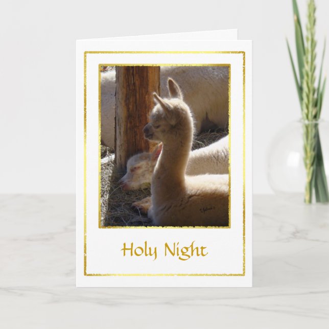 Alpaca Cria-julkort Helgkort (Framsida)