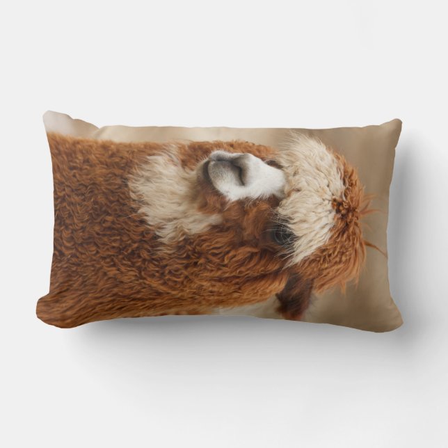Alpaca dekorativ kudde (Framsida)