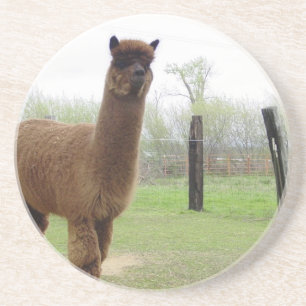 Alpaca dubbar underlägg sandsten