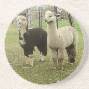 Alpaca Duo Underlägg