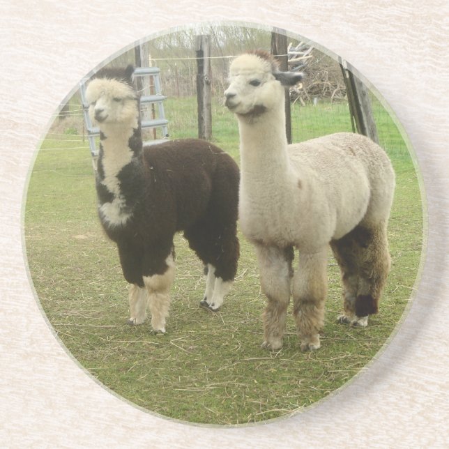 Alpaca Duo Underlägg (Framsidan)