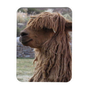 ALPACA FLEXIBEL MAGNET