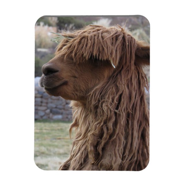 ALPACA FLEXIBLE MAGNET (Vertikal)