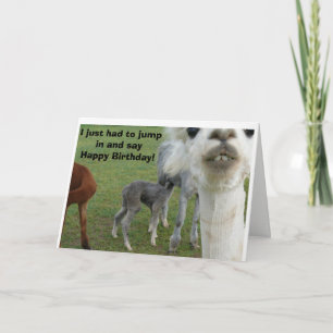 Alpaca-födelsedagskortet - naturen har avbrutits kort