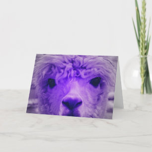 Alpaca från ett annat färg kort