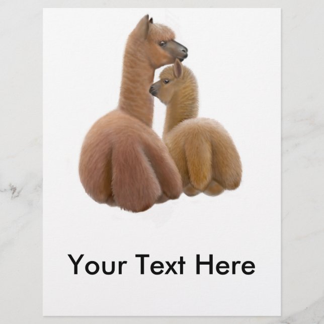 Alpaca Friends Flyer (Framsidan)