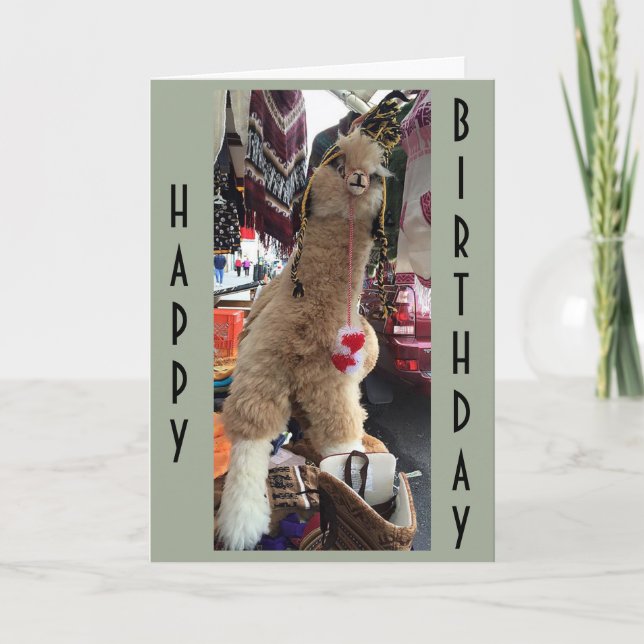 ALPACA GE "BIRTHDAY ADVICE" OM HUR DU GER DAGEN KORT (Framsida)