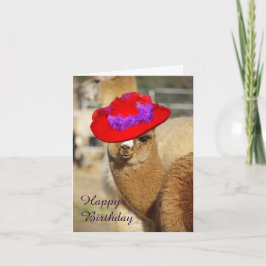 Alpaca Grattis på födelsedagen-kort Kort