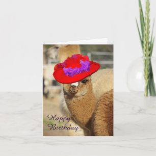 Alpaca Grattis på födelsedagen-kort Kort