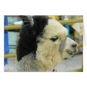 Alpaca Hälsningskort