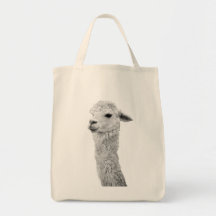 Alpaca hänger lös