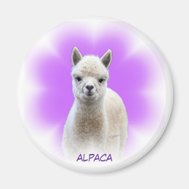 Alpaca Hope Magnet (Framsidan)