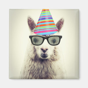 Alpaca i exponeringsglas och partyhatt magnet