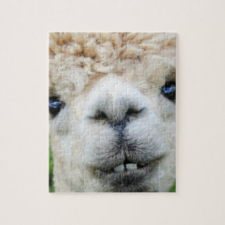 ALPACA JIGSAW PUZZLE 8X10 PUSSEL