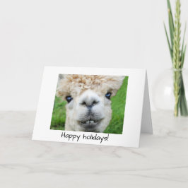 Alpaca-julkort Kort
