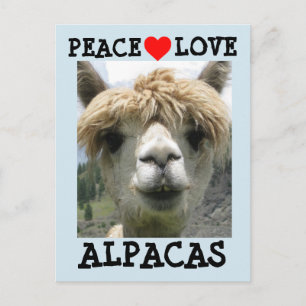 ALPACA KÄRLEK POSTCARDS VYKORT