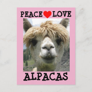 ALPACA KÄRLEK POSTCARDS VYKORT