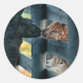 Alpaca Kissing Sticker Runt Klistermärke