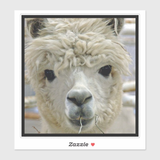 Alpaca Klistermärken (Ark)