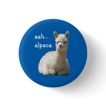 Alpaca knäppas aah alpaca