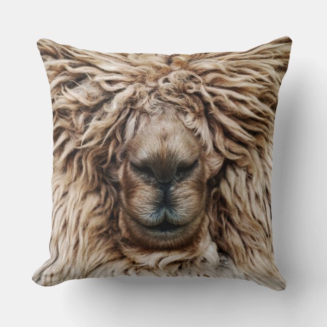 Alpaca Kudde (Framsida)
