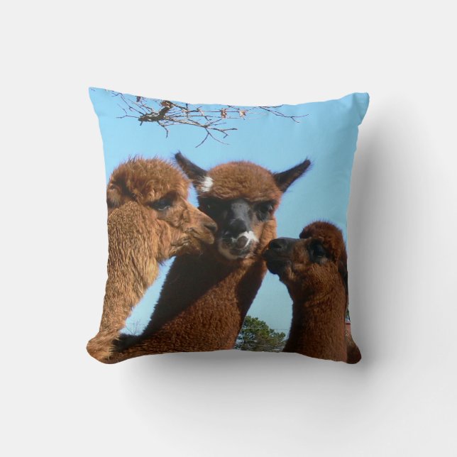 Alpaca kudder kudde (Framsida)