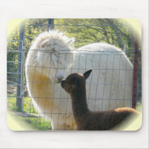 Alpaca kysser Mousepad Musmatta