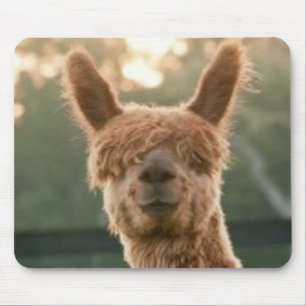 Alpaca-leende musknapp musmatta