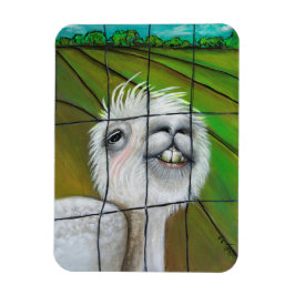 Alpaca - Little Dreamer magnet
