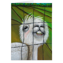 Alpaca - Little Dreamer med artikelkort Hälsningskort