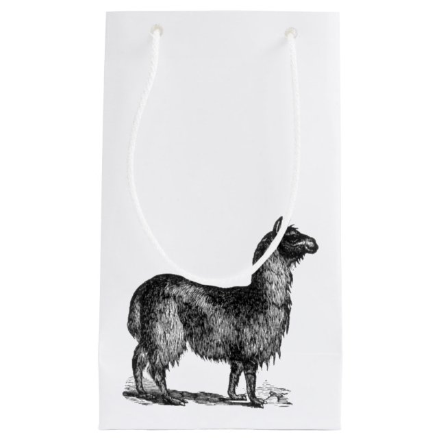 Alpaca Llama Cute Peru Djurart Art (Framsidan)