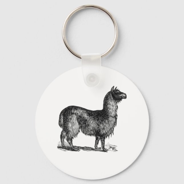 Alpaca Llama Cute Peru Djurart Art Nyckelring (Framsida)