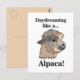 Alpaca Llama Funny Animal Vykort
