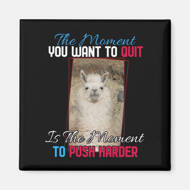 Alpaca Llama - Push Harder Encouragement Magnet (Framsidan)
